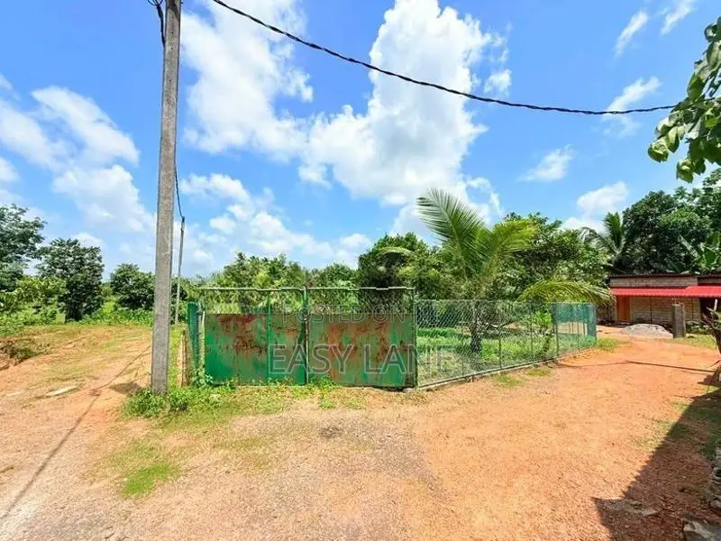 හොරණ, රයිගම පර්චසයක් 2. ට අගනා බිම් කොටසක් විකිණීමට