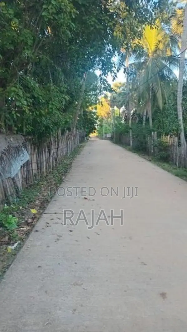 A Half Acre Coconut Saland For Sale In Batticaloa