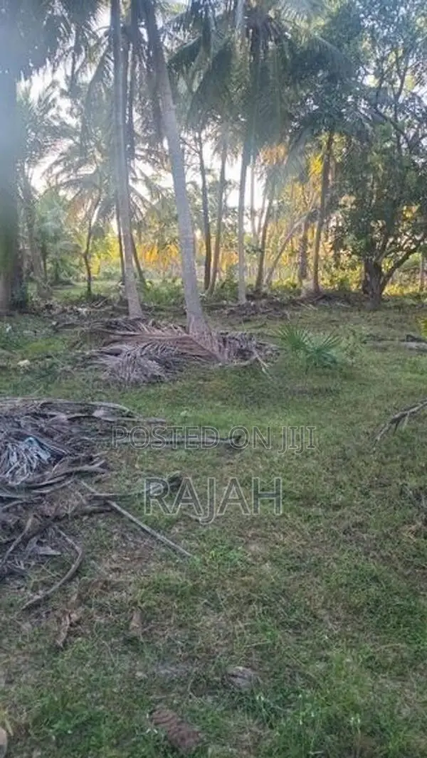 A Half Acre Coconut Saland For Sale In Batticaloa