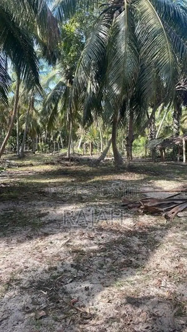 A Half Acre Coconut Saland For Sale In Batticaloa