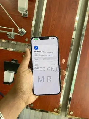 Apple iPhone 13 Pro Max 256GB (Used)