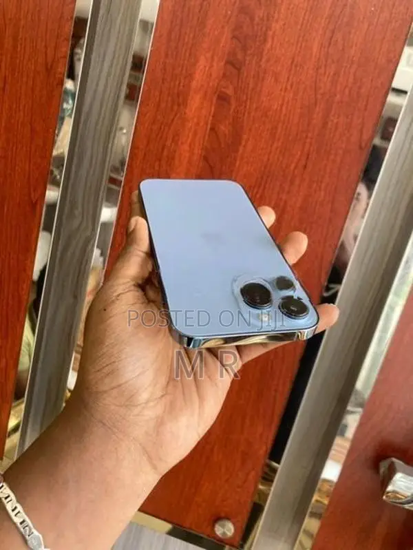 Apple iPhone 13 Pro Max 256GB (Used)