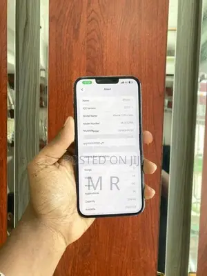 Apple iPhone 13 Pro Max 256GB (Used)