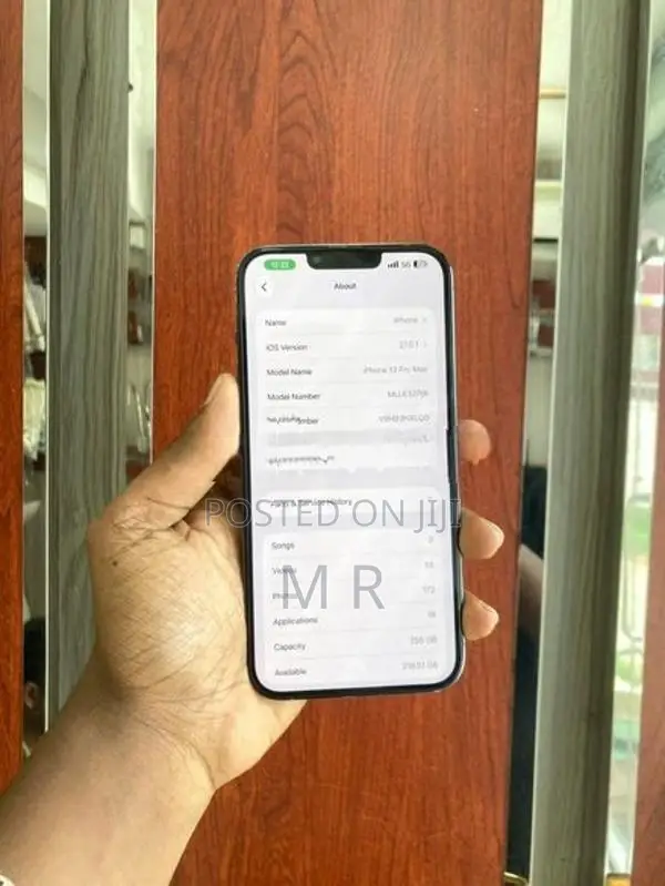 Apple iPhone 13 Pro Max 256GB (Used)