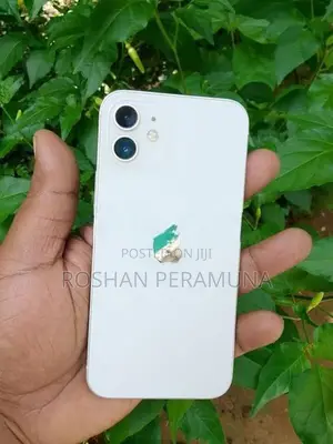Apple iPhone 12 (Used)