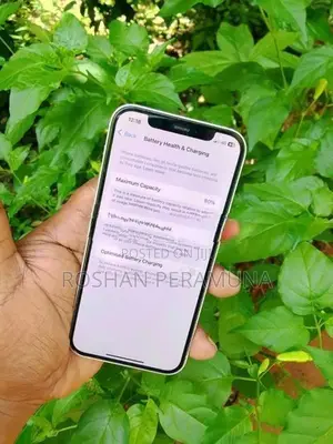 Apple iPhone 12 (Used)