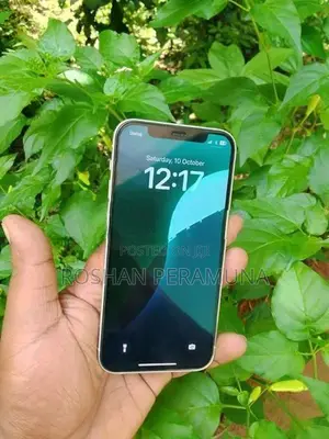 Apple iPhone 12 (Used)