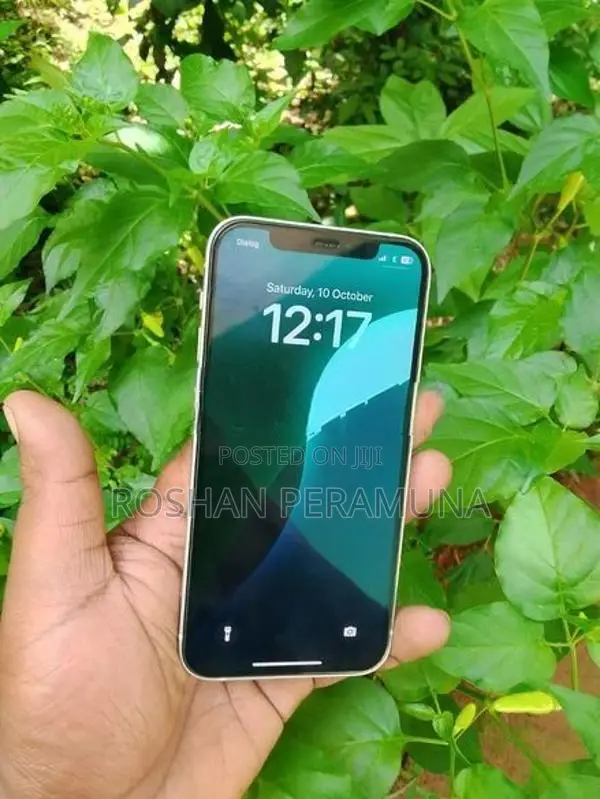 Apple iPhone 12 (Used)