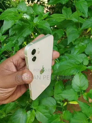 Apple iPhone 12 (Used)