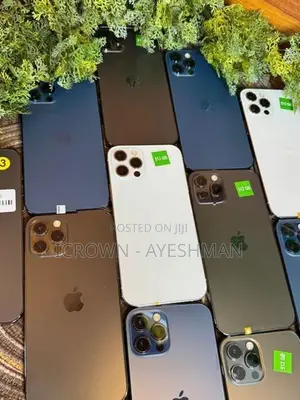 Apple iPhone 12 Pro (Used)