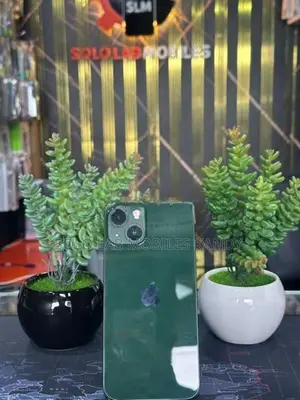 Apple iPhone 13 (Used)