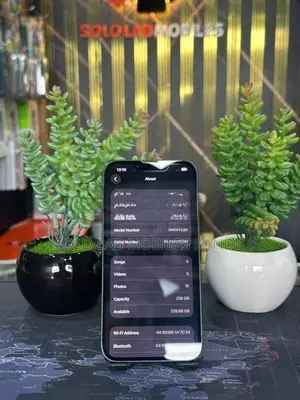 Apple iPhone 13 (Used)