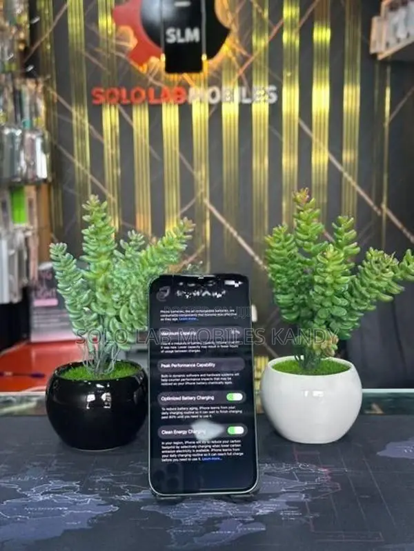 Apple iPhone 13 (Used)