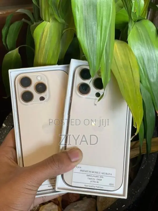 Apple iPhone 16 Pro 256GB (Used)