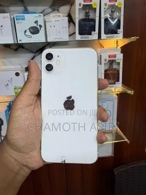 Apple iPhone 11 (Used)