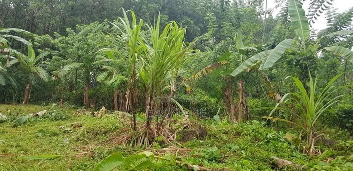 නාරවිල, මතුගම ප්‍රදේශයෙන් පර්චස් 20ක නේවාසික/ආයෝජන බිම් කොටසක්