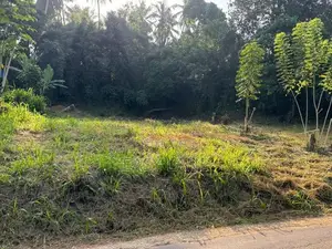 වේයන්ගොඩ මල්වත්ත ගුරු විද්‍යාලය අසල පර්චස් 40 ක ඉඩම විකිණීමට