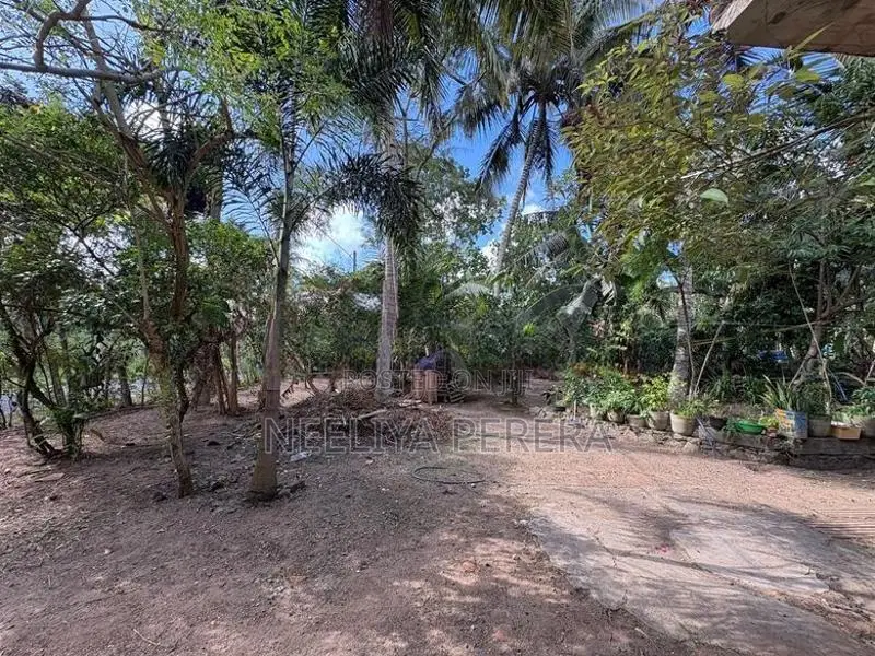 10 Perch Land for Sale in Minuwangoda