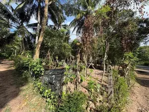 10 Perch Land for Sale in Minuwangoda