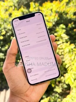 Apple iPhone 12 Pro (Used)