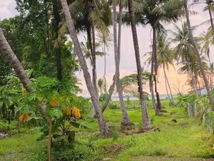 Road Facing Land for Sale in Negombo, Katunayake