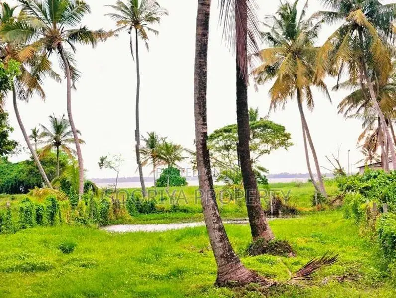 Road Facing Land for Sale in Negombo, Katunayake