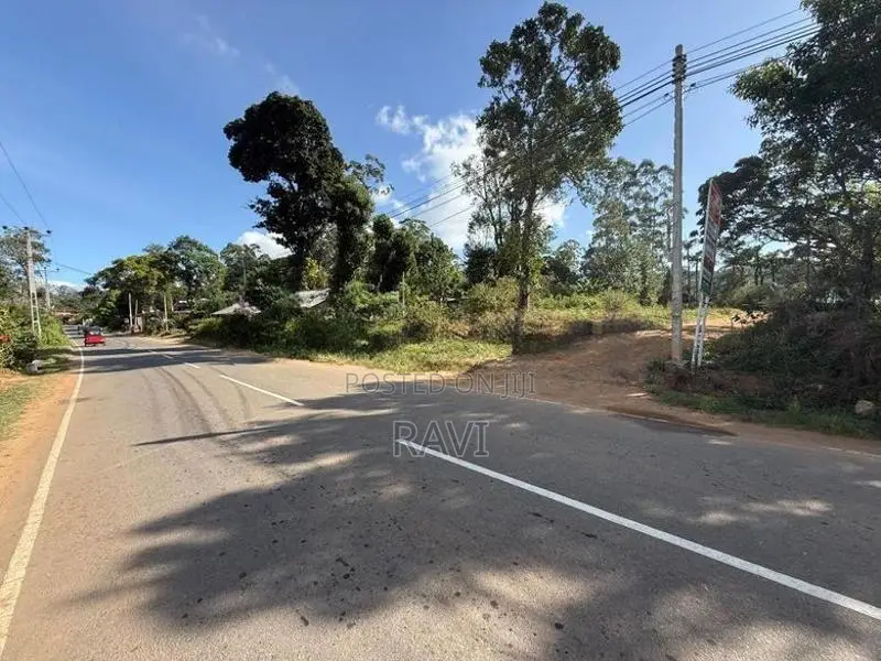බොරලන්ද වටිනා ඉඩම් කට්ටි 3 ක්.