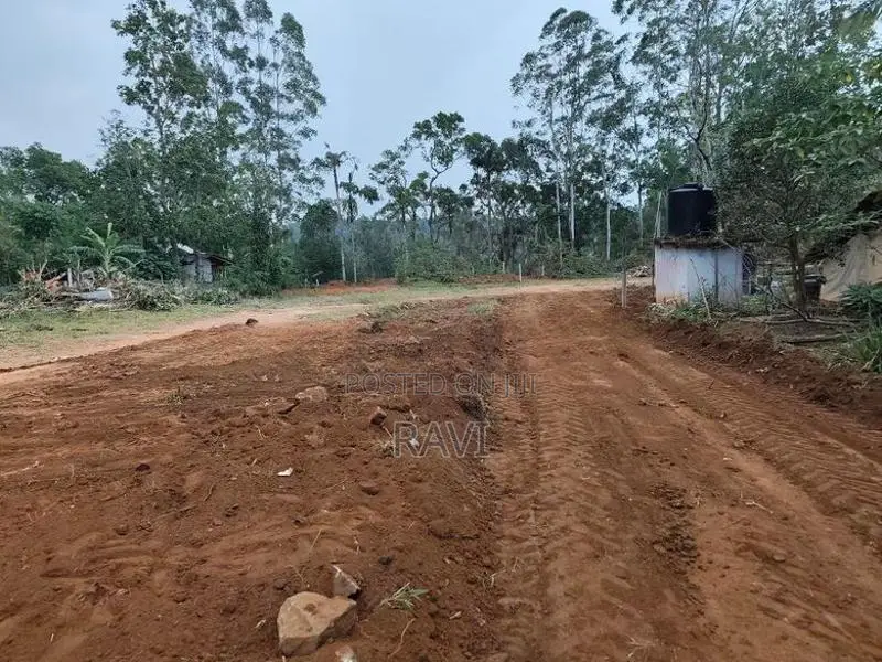 බොරලන්ද වටිනා ඉඩම් කට්ටි 3 ක්.
