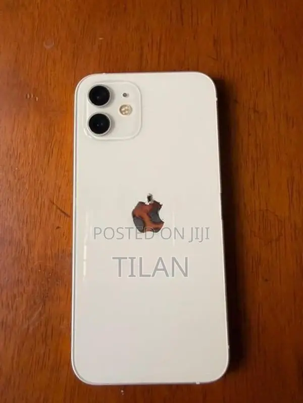 Apple iPhone 12 (Used)