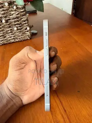 Apple iPhone 12 (Used)