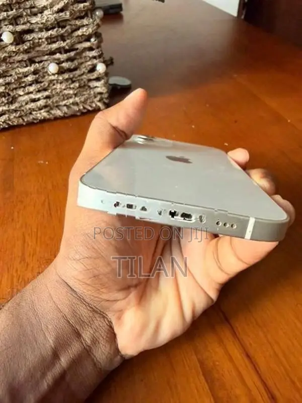 Apple iPhone 12 (Used)