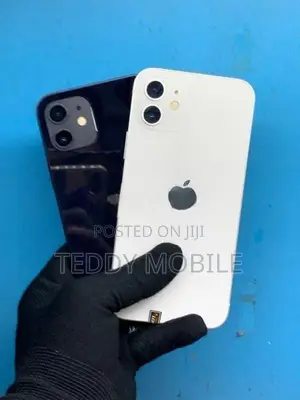 Apple iPhone 12 (Used)