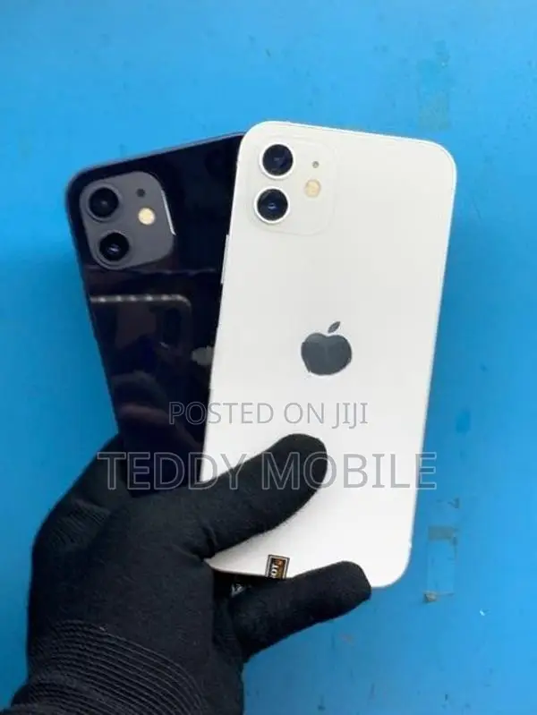 Apple iPhone 12 (Used)