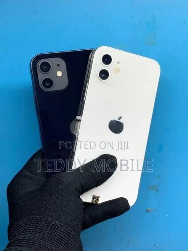 Apple iPhone 12 (Used)