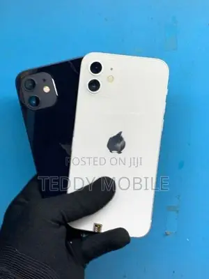 Apple iPhone 12 (Used)