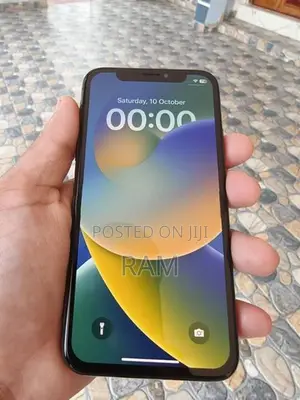 Apple iPhone X (Used)