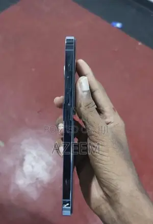 Apple iPhone 13 Pro Max (Used)