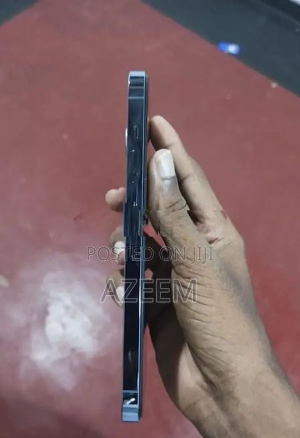 Apple iPhone 13 Pro Max (Used)