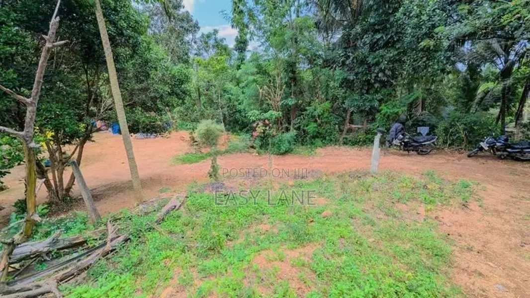 නිට්ටඹුව උෘරපොල පර්චස් 13ම 10.