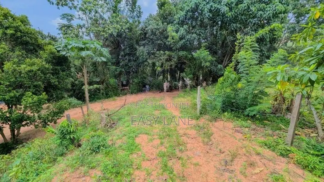 නිට්ටඹුව උෘරපොල පර්චස් 13ම 10.