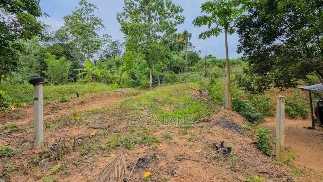 නිට්ටඹුව උෘරපොල පර්චස් 13ම 10.