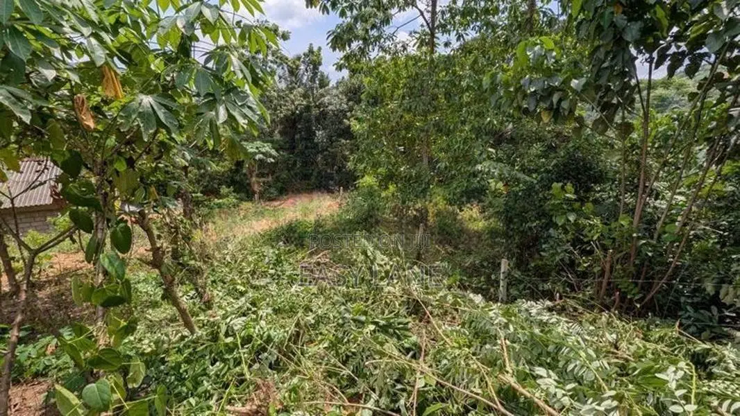 නිට්ටඹුව උෘරපොල පර්චස් 13ම 10.