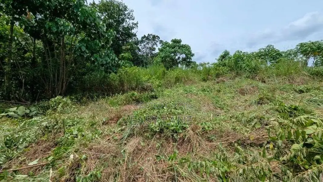 නිට්ටඹුව උෘරපොල පර්චස් 13ම 10.