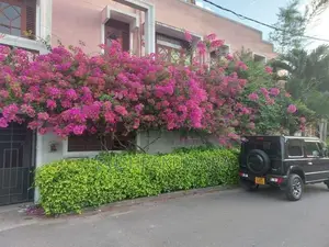 House For Rent IN Colombo 05 ( File Number 20B/4 ) Evergreen Park