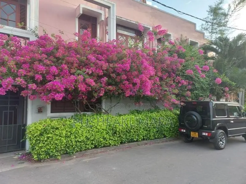 House For Rent IN Colombo 05 ( File Number 20B/4 ) Evergreen Park