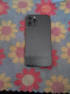 Apple iPhone 12 Pro 256GB (Used)