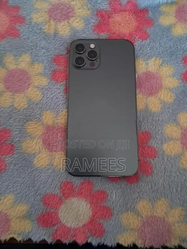 Apple iPhone 12 Pro 256GB (Used)