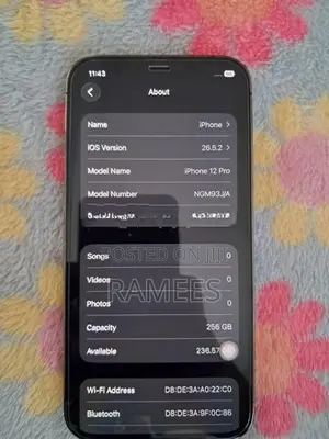Apple iPhone 12 Pro 256GB (Used)