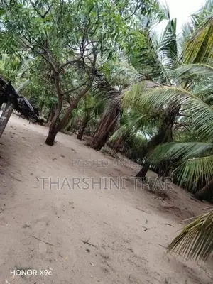 காணி விற்பனைக்கு - மட்டக்களப்பு புதுக்குடியிருப்பு