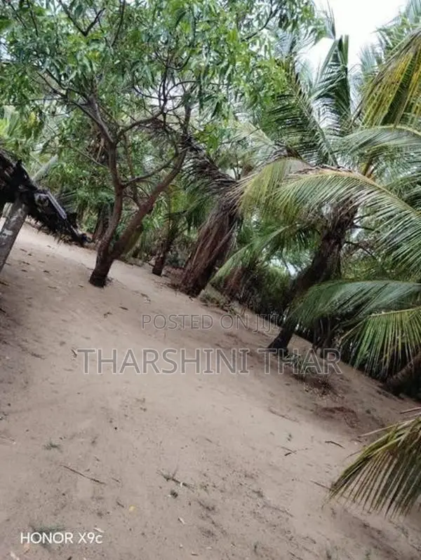 காணி விற்பனைக்கு - மட்டக்களப்பு புதுக்குடியிருப்பு